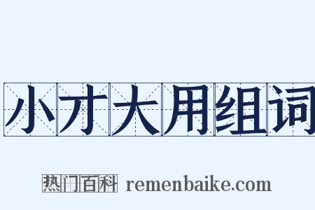 小才大用组词是什么意思的图片